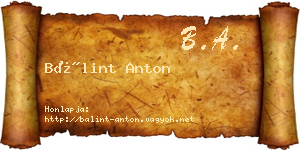 Bálint Anton névjegykártya